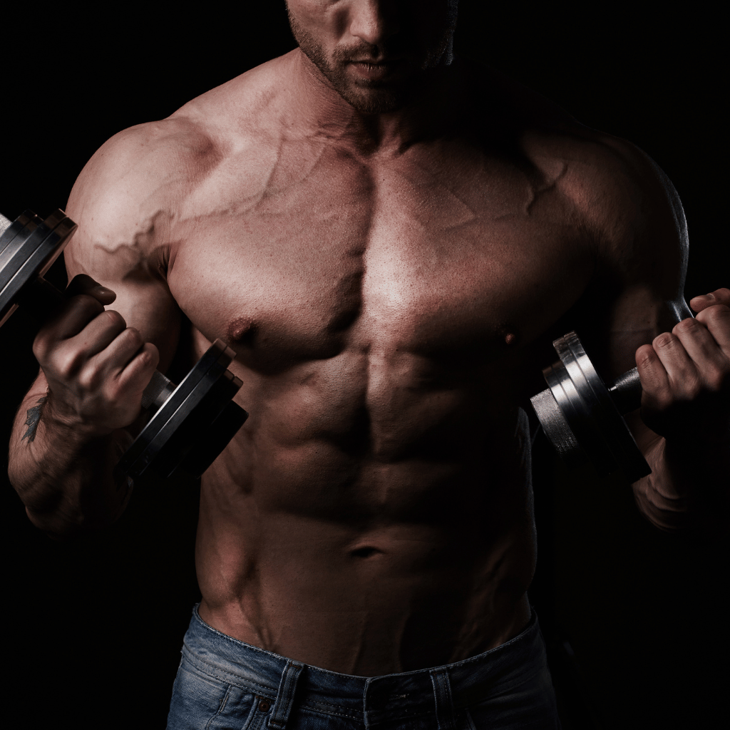 Fitness & Metaverso